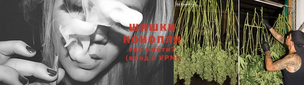 спайс Алексин