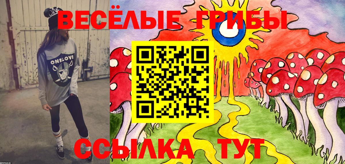 Галлюциногенные грибы Magic Shrooms Фрязино