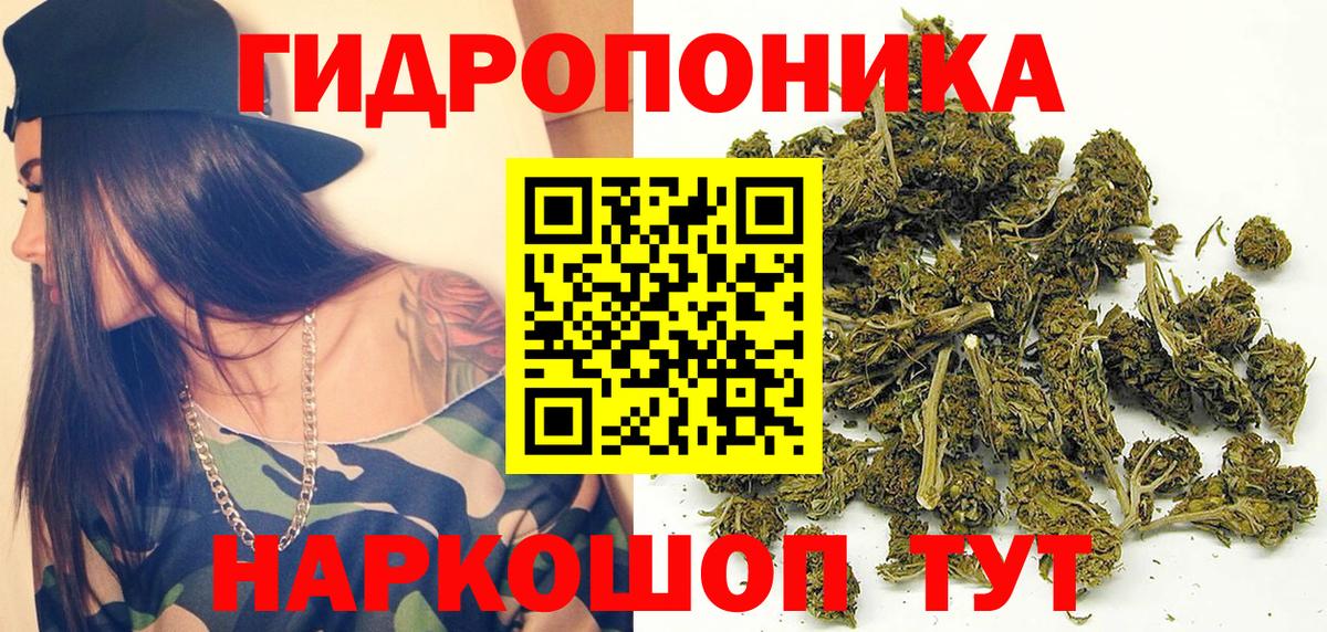 Бошки марихуана LSD WEED  Каннабис конопля  Вход с VPN  Фрязино  Шишки марихуана индика 
